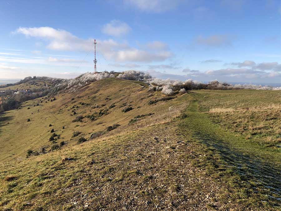 Panorama